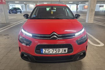 1.2i Salon Polska I właściciel